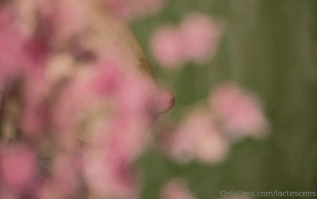 lactescens onlyfans leaks nudes