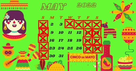 theloungeroom onlyfans porn nude