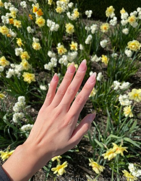 onlyfeetno1 only fans nude leaks