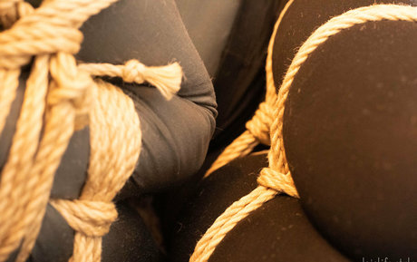 dojolifestyle only fans sex