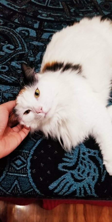 empressming leaked onlyfans nude