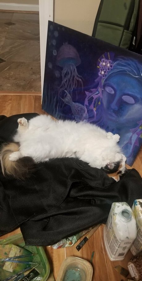 empressming onlyfans leaked dirtyship