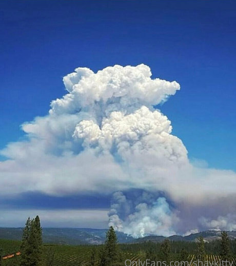 shaykitty onlyfans nude leak