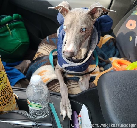 weldlikeababe onlyfans free content