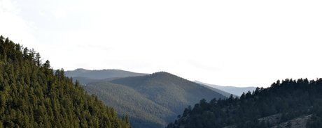 sexyredinbedfree onlyfans strip tease