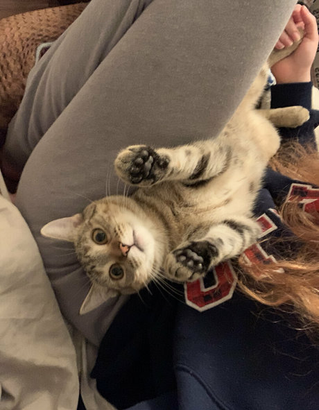 sexyredinbedfree leaked onlyfans free