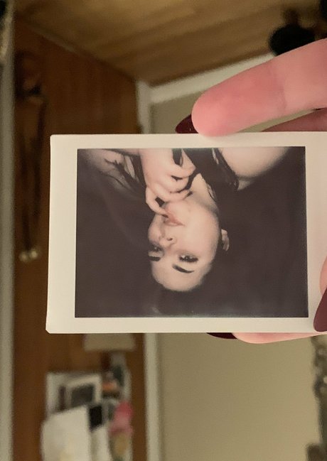 maisonfoxqueen free only fans