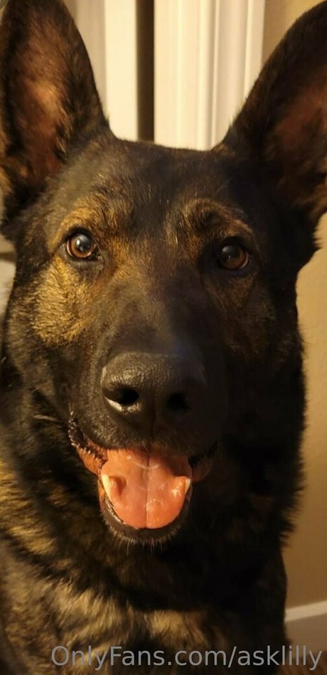 asklilly leaked onlyfans xxx