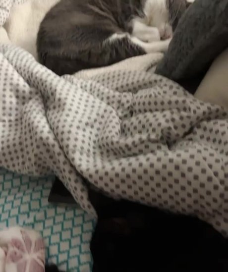 piperplatinumvip onlyfans strip