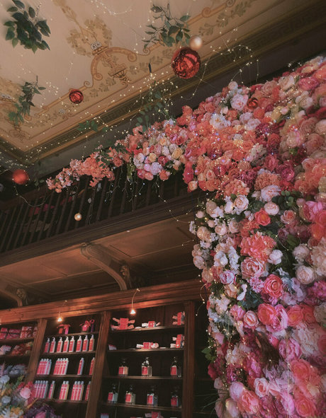 anast ass boobs onlyfans