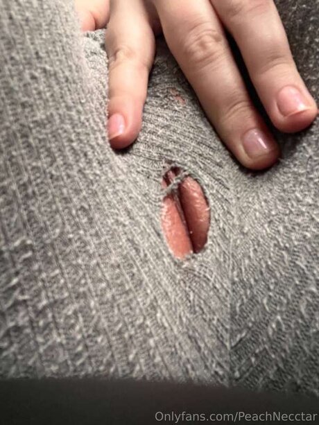 peachnecctar onlyfans joi