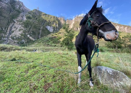 the real ninja girl nude onlyfans leaked