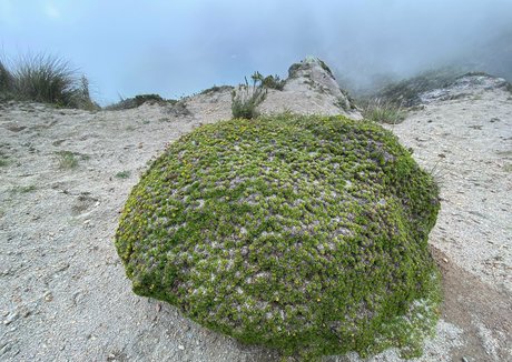 the real ninja girl only fans leak porn