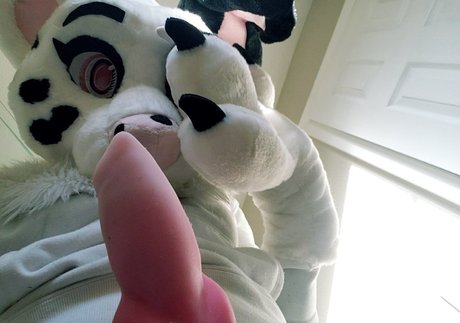 dirtydotti onlyfans pics