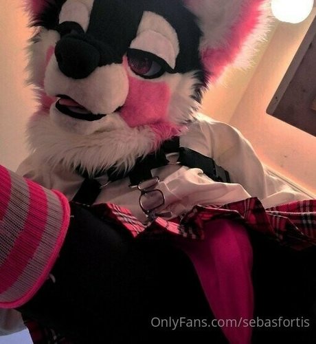 sebasfortis porn onlyfans leaks