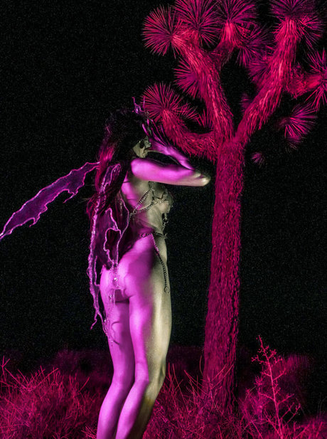 Sharon Ehman Profile pic