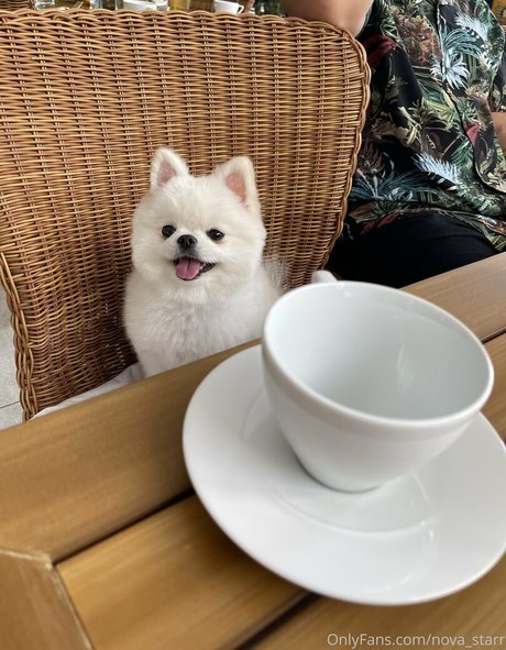 nova starr onlyfans naked