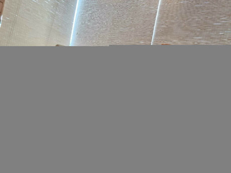 Jessie Rogue sexy onlyfans