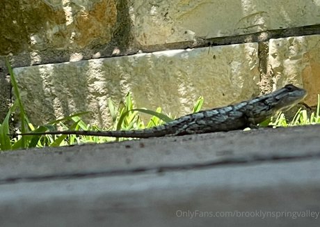 Brooklynspringvalley Profile pic