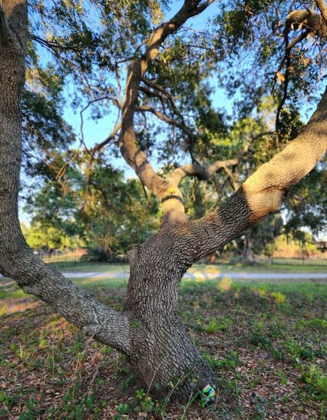 kenzielynn nude on onlyfans