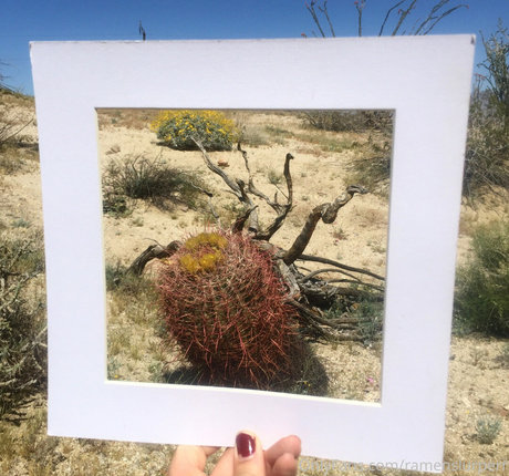 Marie Sweets naked onlyfans leaks