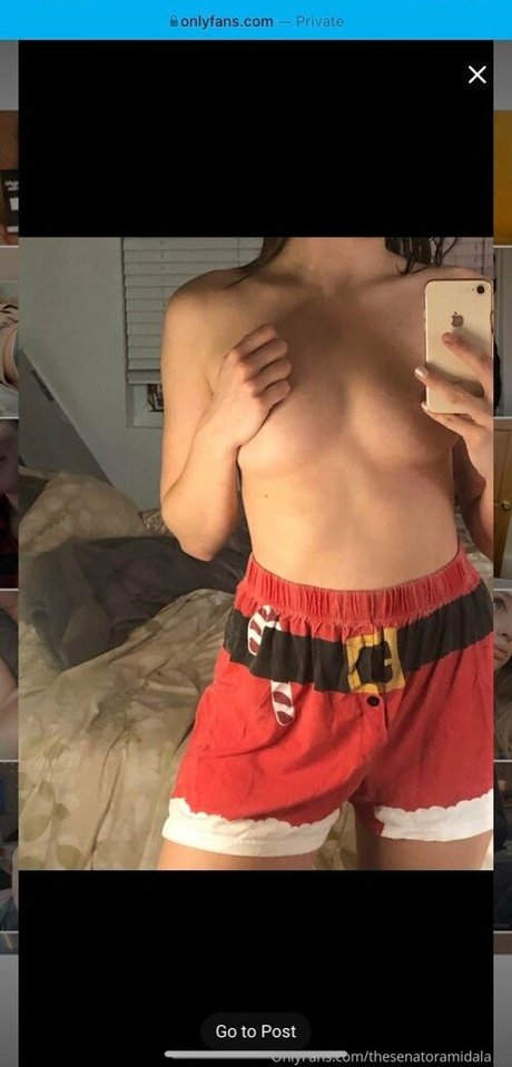 sydthesenator onlyfans model photo