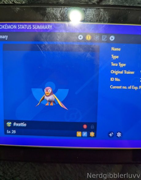 nerdgibblerluvv porn onlyfans