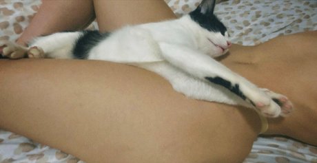 signorinabella onlyfans leak sex