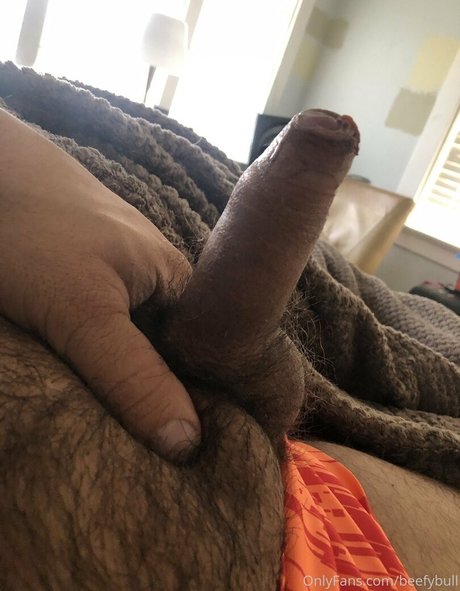 beefybull leak only fans