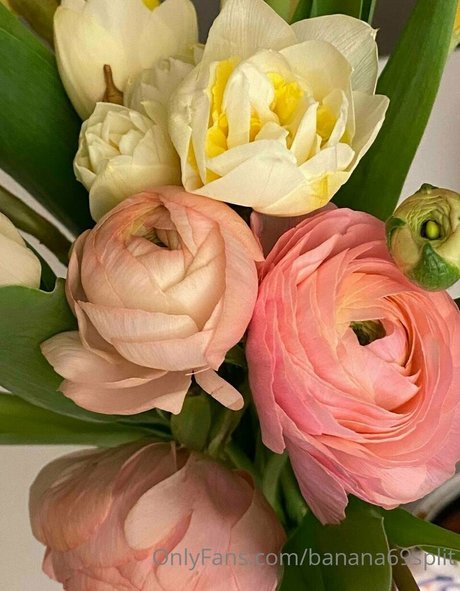 banana69split onlyfans leaked