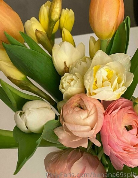 banana69split leaked porn onlyfans