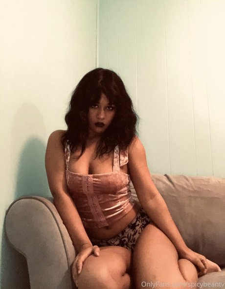 spicybeantv onlyfans archives
