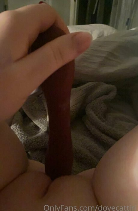 dovecattiri onlyfans nudes leaked