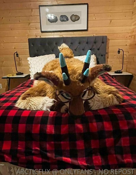 arcticfux onlyfans lean