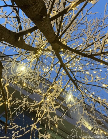 sweetmossy Profile pic