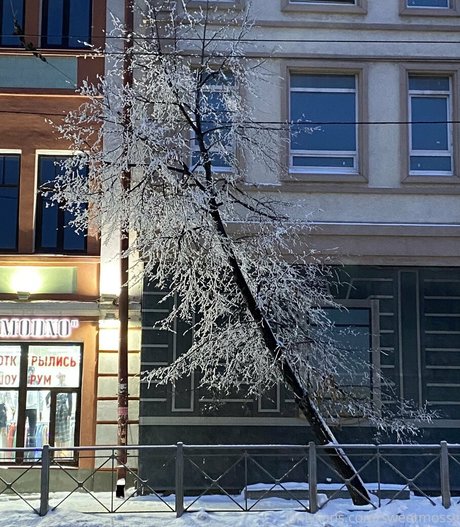 sweetmossy leaked onlyfans nude