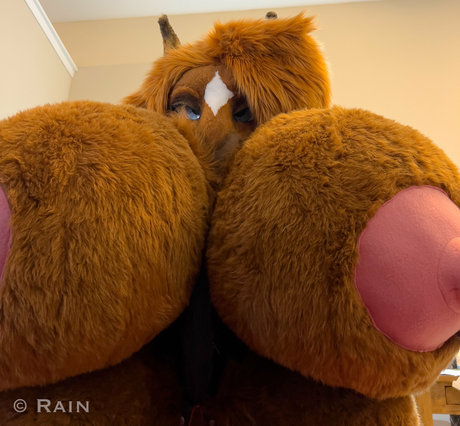 rain horsie only fans
