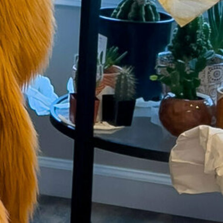 rain horsie onlyfans nude