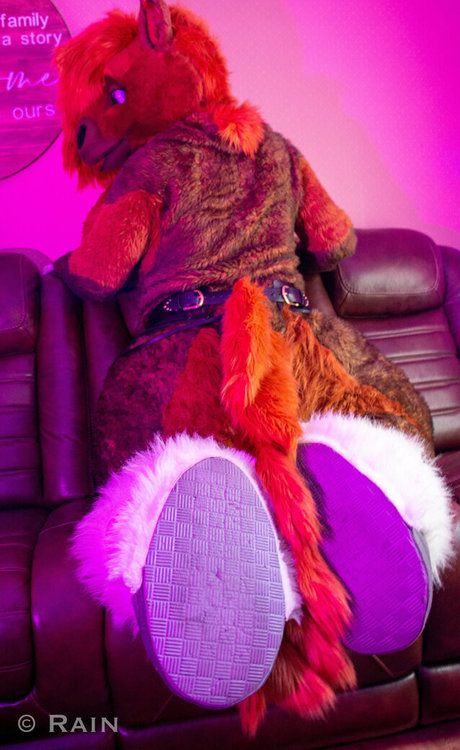 rain horsie only fans photos