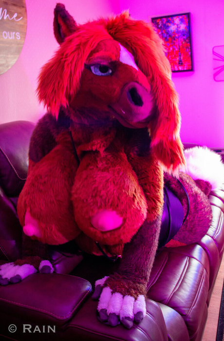 rain horsie Profile pic