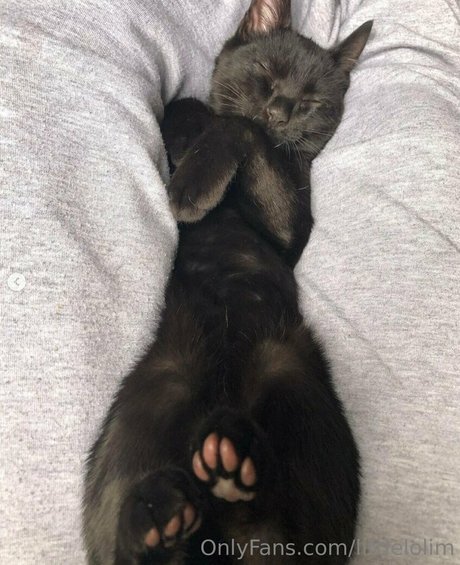 littlelolim feet onlyfans