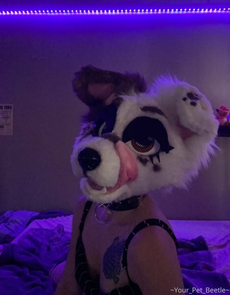 strwbrryinsides onlyfans explicit content