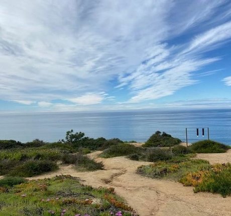 Sarai Fonseca only fans review