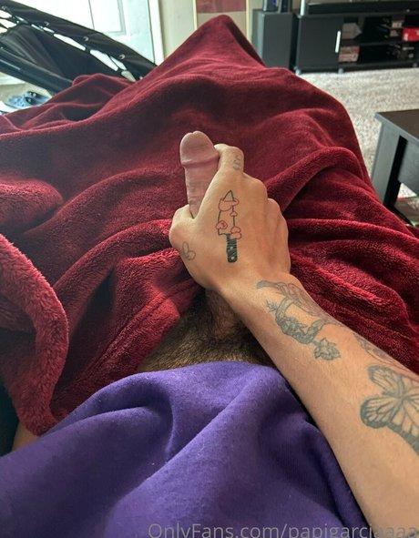 papigarciaaaa onlyfans leak xxx