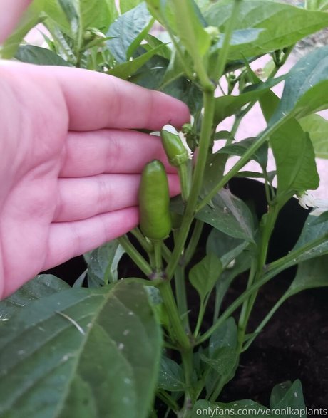 veronikaplants only fans naked