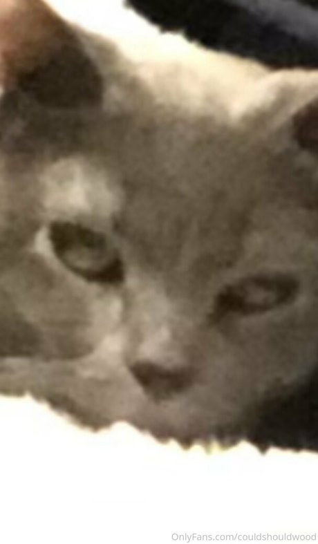 couldshouldwood onlyfans leaked xxx