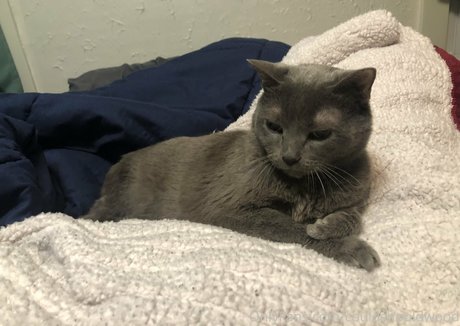 couldshouldwood leaked nude onlyfans