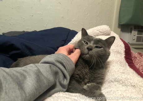 couldshouldwood topless onlyfans