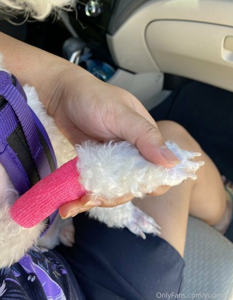 yuumii z onlyfans pics leaked