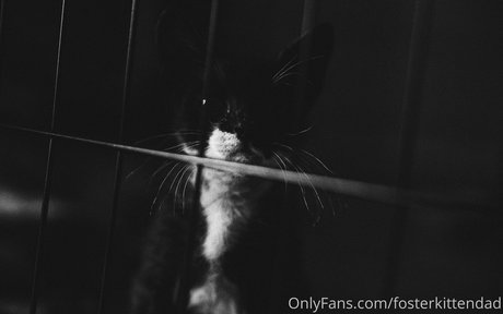 fosterkittendad onlyfans leaka